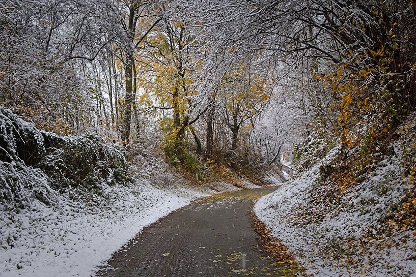 Winterstemming in Wijlre van Rob Boon