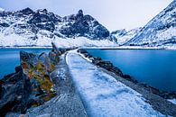 IJzig winterlandschap in Senja / Lofoten, Noorwegen. van Martijn Smeets thumbnail