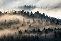Mist in de bergen