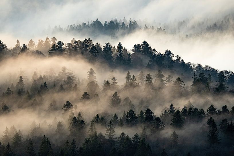 Mist in de bergen van Sam Mannaerts