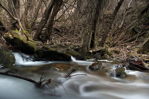 The river