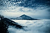 Pico del Teide von Dorit Fuhg Miniaturansicht
