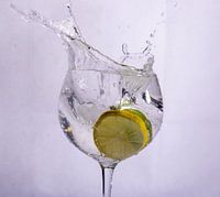 Zitrone und Limette in Wasser