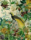 Paradijsvogel in de tropische jungle van Floral Abstractions thumbnail