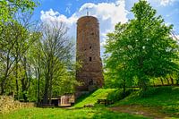 A view of the Bornstedt castle ruins in Germany