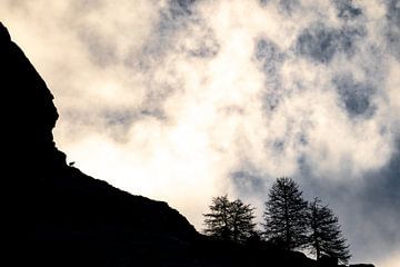 Gems silhouette by Sam Mannaerts