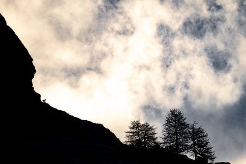 Edelstein-Silhouette