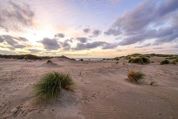 Dune dans la lande de bouleaux sur Dirk van Egmond