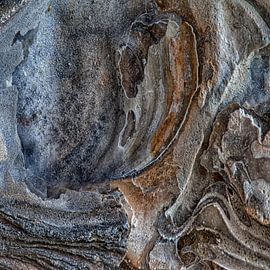 Oyster shell by Jan de Jong