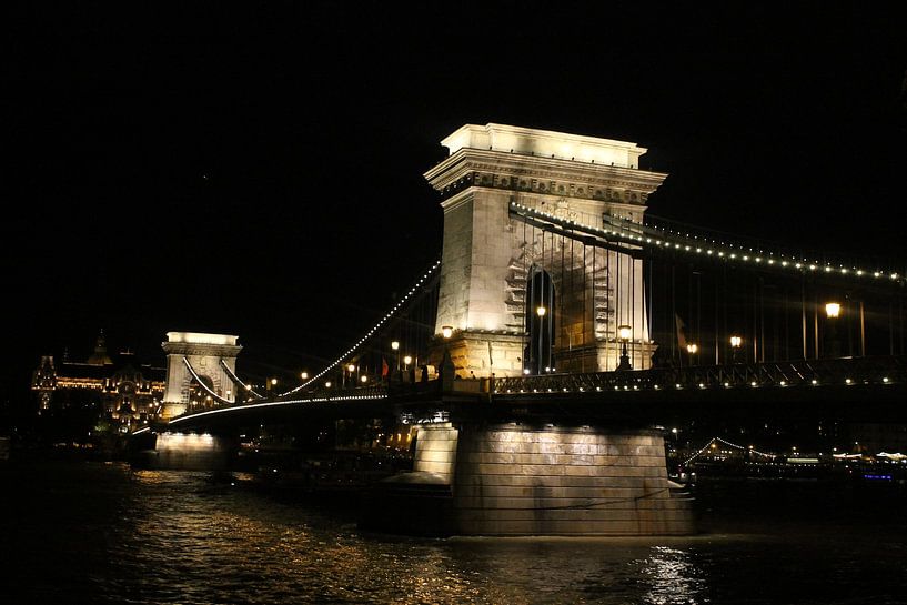 Bridge Budapest by Nienke Koster