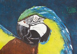 Papagei von Susanne A. Pasquay
