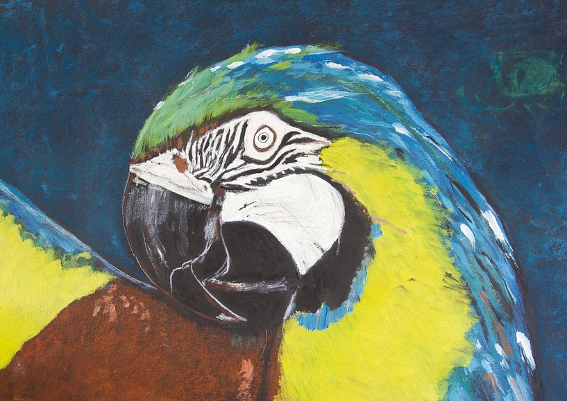 Papagei von Susanne A. Pasquay