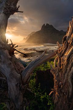 Beautiful sunrise at Punta Del Hidalgo on the island of Tenerife.