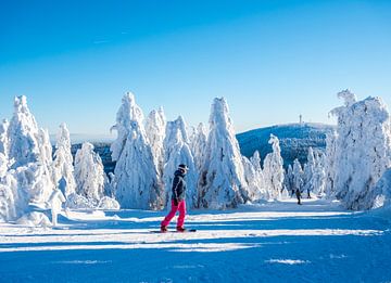 Wintersport in het Ertsgebergte in Saksen van Animaflora PicsStock
