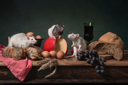 Werkoverleg, schattige ratten hebben tussen de lunch overleg van Elles Rijsdijk
