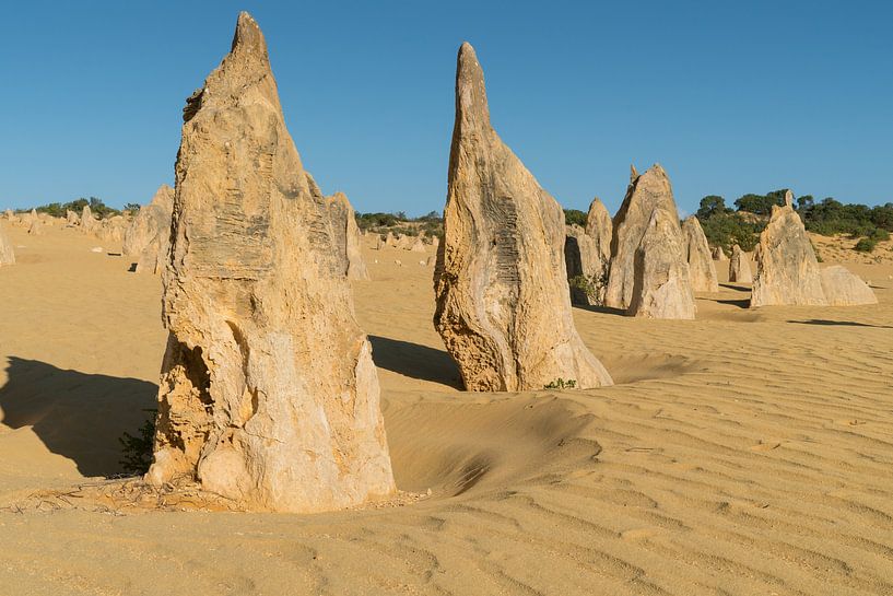 Nambung National Park, Western Australia by Alexander Ludwig