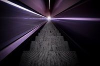 Take me to the light