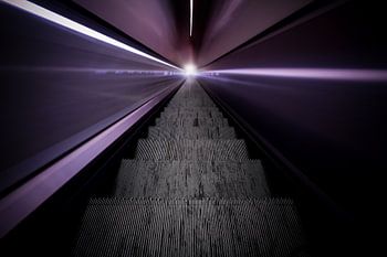 Take me to the light