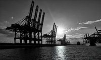 Hamburg - Sunset in the harbour black and white