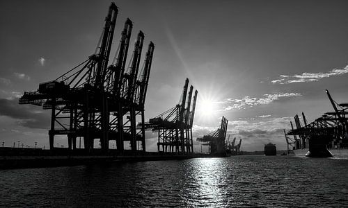 Hamburg - Zonsondergang in de Haven Zwart en Wit