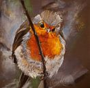 Roodborst van Annette Noordhof thumbnail