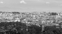 Een prachtig overzicht van de stad Rome, Italië, in zwart en wit