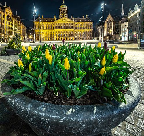 Bizarre stilte, Amsterdam.