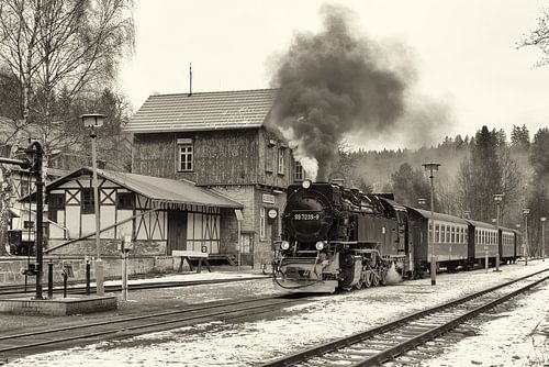 Dampfzüge im Harz, die alte Zeiten wieder aufleben lassen von Hans Brinkel