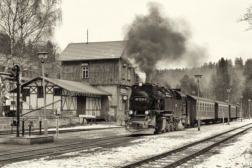 Steam trains in the Harz, reviving times of yore by Hans Brinkel