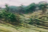 La nature en mouvement