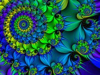 Dornenblume