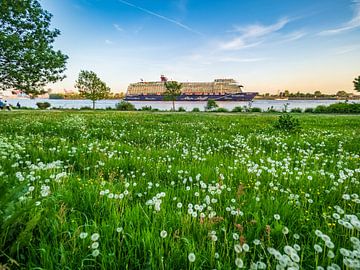 2018-05-13 Lowenzahn und Mein Schiff 1