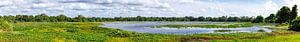 Panorama-Naturschutzgebiet Sri Lanka