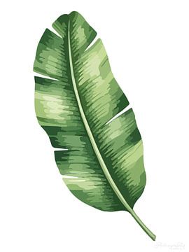 Stille botanica – bananenblad in het wit