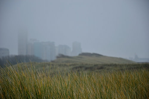A foggy view of the city