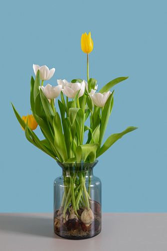 Vase with yellow and white tulips by Kok and Kok