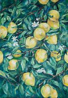 Citrons