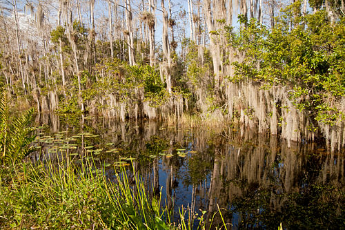 Everglades, Florida