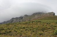 Tafelberg im Nebel von Quinta Dijk Miniaturansicht