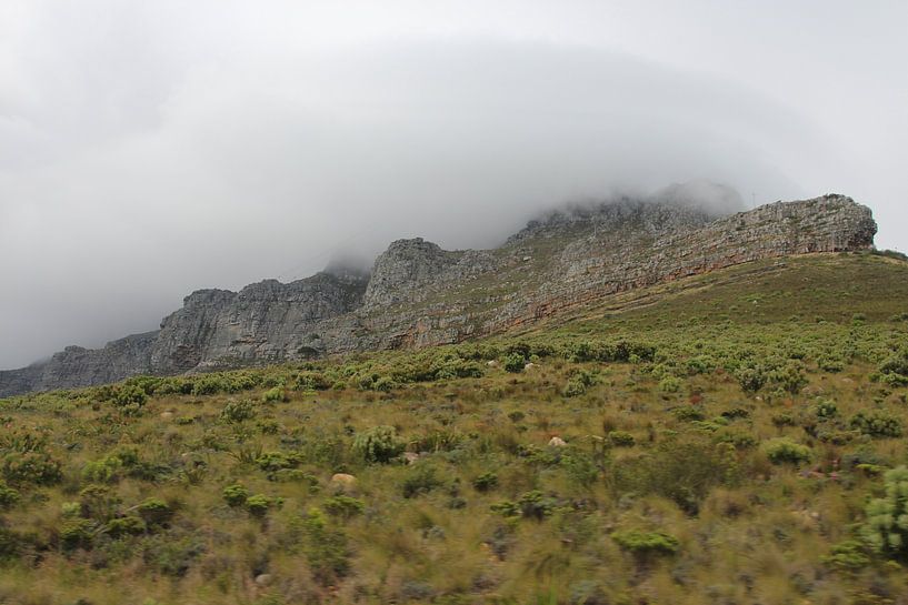 Tafelberg im Nebel von Quinta Dijk