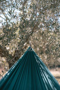 Hängematte im Olivenhain in der Toskana | Fotodruck Italien Reisefotografie von HelloHappylife