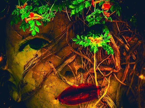 Gevangen door de boom