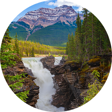 Athabasca waterval in Jasper N.P, Alberta