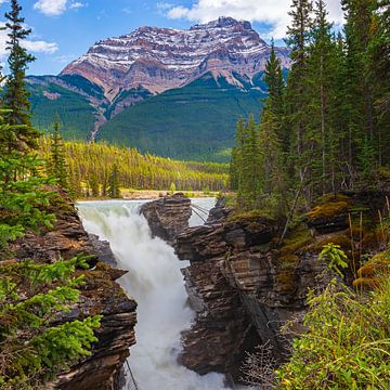 Athabasca-Wasserfall in Jasper N.P., Alberta von Henk Meijer Photography