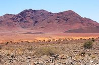 Paysage de montagne Namibie par Inge Hogenbijl Aperçu