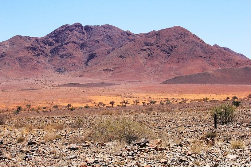 Paysage de montagne Namibie par Inge Hogenbijl