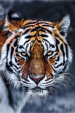 Tiger van Mateo
