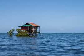 Das einsame Leben (Anda, Bohol) von Sebastian Stef