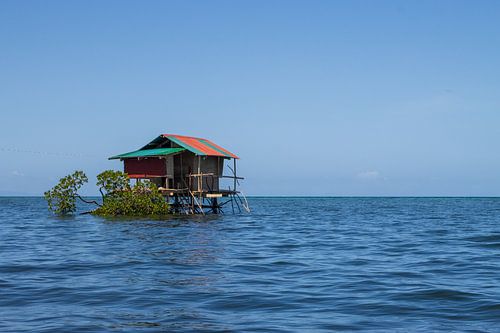 La vie solitaire (Anda, Bohol)