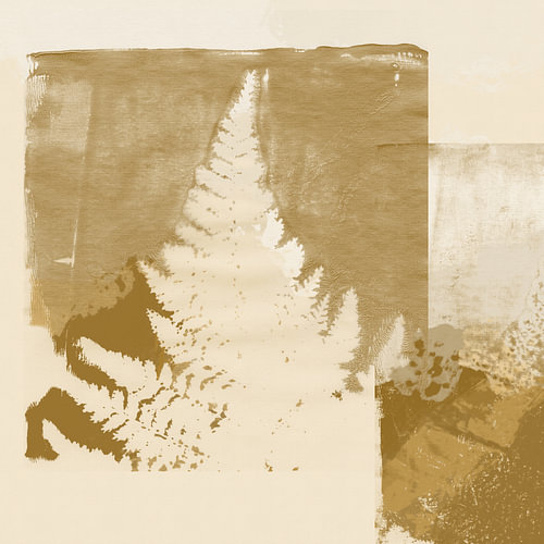 White fern leaves on ochre yellow. Modern botanical art by Dina Dankers